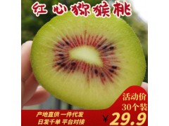 预售四川红心奇异果红心猕猴桃现货水果一件代发送礼品蒲江猕猴桃