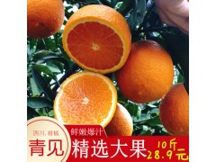 现货四川青见柑橘水果新鲜桔子当季水果橘子一件代发