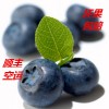 现货供应进口水果秘鲁新鲜蓝莓4盒装一盒约125g顺丰包邮一件代发