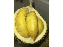 正宗貓山王馬來西亞進口榴蓮帶殼整個新鮮水果一件代發順豐到家
