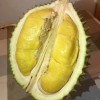 正宗猫山王马来西亚进口榴莲带壳整个新鲜水果一件代发顺丰到家