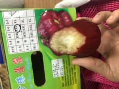 台湾进口新鲜水果黑珍珠莲雾xxl当季时令水果支持一件代发