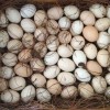 种蛋批发 种蛋孵化 种鸡蛋 乌鸡 绿壳鸡蛋批发