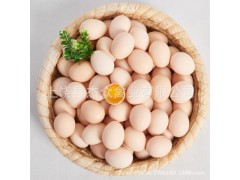限时促销土鸡蛋农家自养土鸡蛋散养新鲜草鸡蛋品质保障