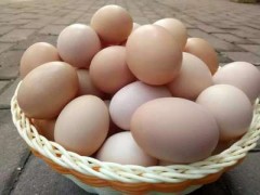 （农家)五谷杂粮喂养土鸡蛋农家自养土鸡蛋品质保障