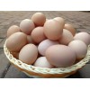 （农家)五谷杂粮喂养土鸡蛋农家自养土鸡蛋品质保障