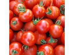 紅圣女果 紅色小番茄小西紅柿 水果批發新鮮蔬菜產地直供