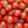 红圣女果 红色小番茄小西红柿 水果批发新鲜蔬菜产地直供