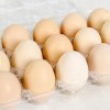 态聚山鸡蛋黄壳 2019年新产品鸡蛋 厂家直销 量大从优 现货现发