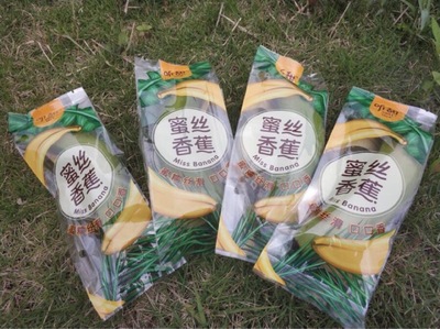 福建漳州蜜思香蕉 天宝香蕉 不催熟 不打药 树上熟 甜糯丝滑4.5斤