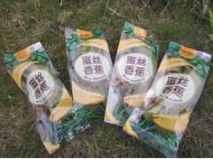 福建漳州蜜思香蕉 天宝香蕉 不催熟 不打药 树上熟 甜糯丝滑4.5斤