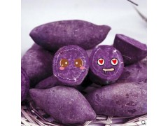现挖新鲜紫薯番薯原生态地瓜红薯香薯紫芋头农家特产5斤包邮