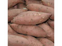 砂土 甜香紅蜜薯黃紅心農家山芋沙地現挖地瓜小番薯
