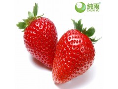 德昌純雨草莓1250g 露天種植 現采現摘 *** 無污染草莓