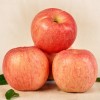 供应 新鲜礼泉红苹果水果特价红富士厂家直发大量批发