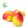 果品专业合作社供应新鲜油桃