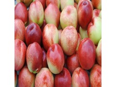 供應 果農種植 油桃 超多維C 優質油桃