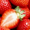 东港天勤新鲜草莓 九九红颜 有机草莓 3斤省内包邮 国产草莓 香甜可口