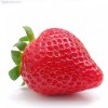 3斤省内包邮 东港天勤新鲜草莓 九九红颜 有机草莓 国产草莓