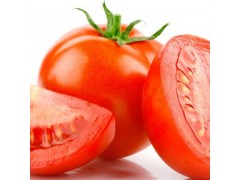 供應優質西紅柿 新鮮蔬菜 無公害番茄 綠色無污染 現貨直銷 批發