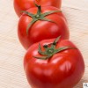 批发新鲜有机蔬菜 无公害自然熟西红柿