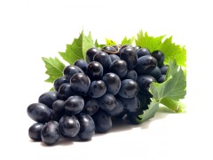 绿丰源 黑提 新鲜水果 当季葡萄提子 现摘现发 黑提葡萄