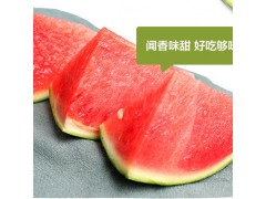 早春红玉西瓜种子日本进口早熟皮薄红壤小水果