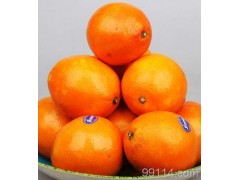 宜昌三峡秭归脐橙 量大价优