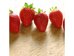 廠家直銷新鮮草莓 無公害草莓 散裝草莓批發