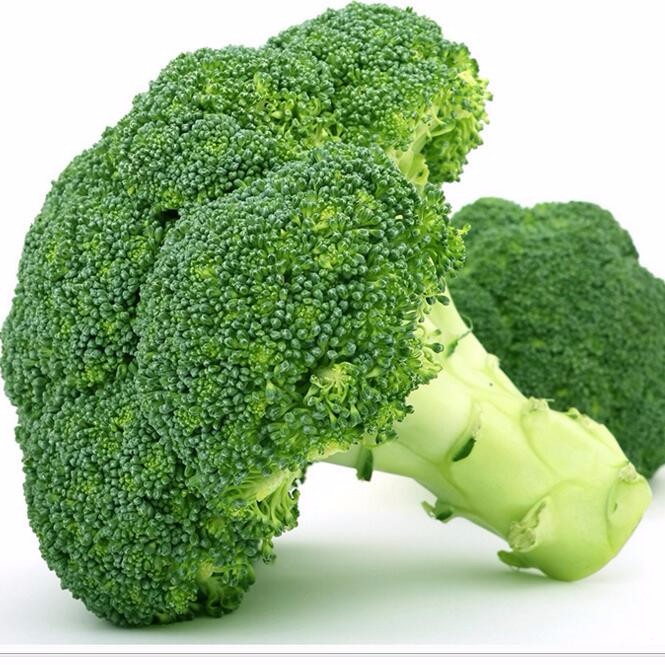 供應西蘭花綠色無污染新鮮蔬菜