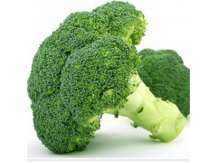 供應西蘭花綠色無污染新鮮蔬菜