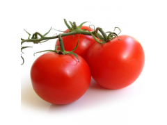 蔬菜批发西红柿 番茄 绿色无公害 厂家直销 大量批发价格合理
