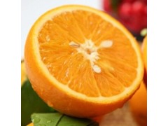 一件代發新鮮水果倫晚夏橙臍橙 秭歸天然時令榨汁橙子