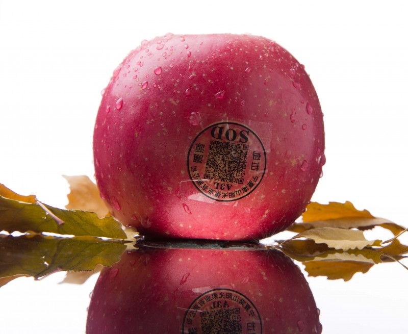 南山阳光　红富士　套袋　绿色无污染　含糖量高　抗氧化　延年益寿　ＳＯＤ苹果