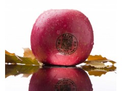南山阳光　红富士　套袋　绿色无污染　含糖量高　抗氧化　延年益寿　ＳＯＤ苹果