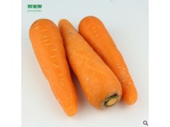 供应新鲜胡萝卜 绿色无污染无公害蔬菜