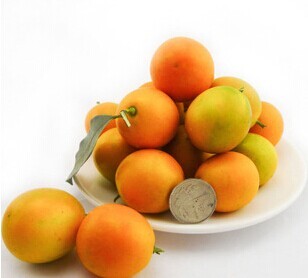 融安脆皮金桔5斤实惠装金橘标准果