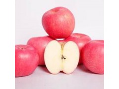 烟台栖霞红富士苹果 90#苹果 原产地直供 品质保证 新鲜健康