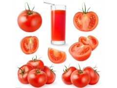 自然熟肉质红色沙瓤多汁西红柿4.5斤装
