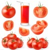 自然熟肉质红色沙瓤多汁西红柿4.5斤装