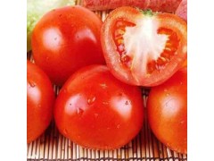 供应新鲜有机蔬菜 新鲜西红柿