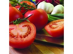 供应优质西红柿 新鲜蔬菜 无公害番茄 绿色无污染 现货直销 批发