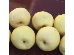 安徽特产 农村直供酥梨 新鲜水果 优质酥梨