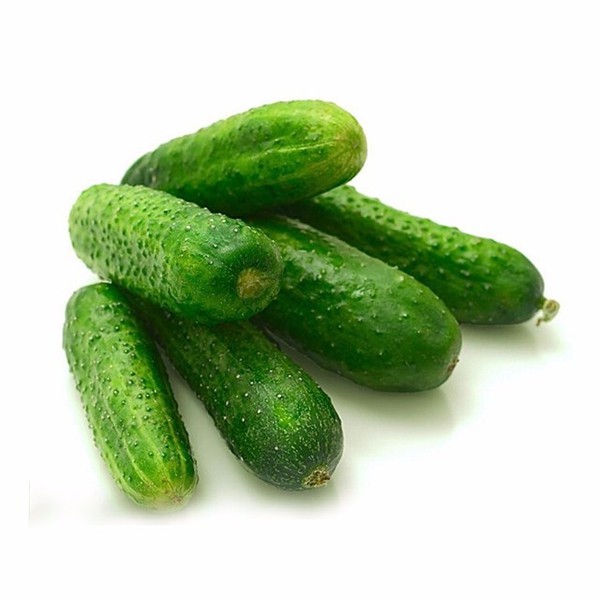 优质小黄瓜 新鲜蔬果农家自产健康绿色蔬菜