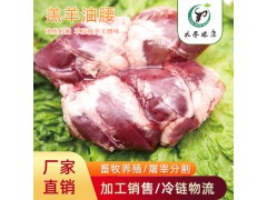 內蒙古羊肉新鮮食材清真油腰羊油腰子烤羊肉腰子廠家直發品質保證