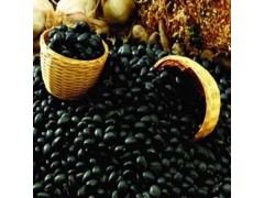 大量供应原生态种植黑豆系列产品