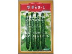 供應黃瓜博美60-1種子種苗