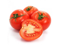 新鲜蔬菜普罗旺斯西红柿现摘现发自然成熟生柿子