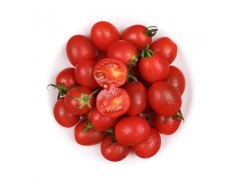 一件包郵新鮮現摘櫻桃西紅柿季生吃蔬菜小柿子批發零售48小時發貨