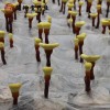 金寨灵芝菌种 大别山椴木食用菌菌棒赤芝菌种 提供种植技术支持